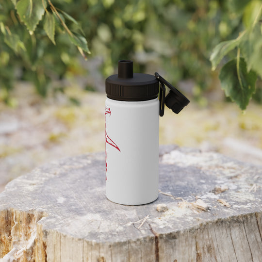 Stainless Steel Water Bottle