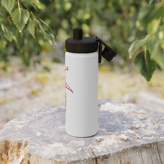 Stainless Steel Water Bottle