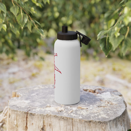 Stainless Steel Water Bottle